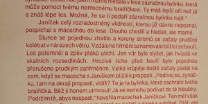 Škola v přírodě s Lipkou - Ostrov u Macochy 2024 - 1732366486_Ostrov u Macochy 2024 - ŠvPř s Lipkou (14).jpg